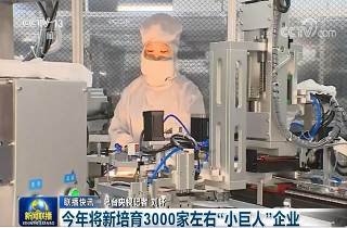 今年將新培育3000家左右“小巨人”企業(yè)！